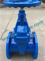 DIN cast iron GG25 flange gate valve